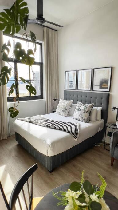 Apartment Luxury Tiny / Co_living / Views Cape Town